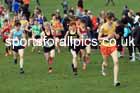 Boys Under-15s, 2024 CAU Inter Counties Cross Country Champs., Wollaton Park, Nottingham. Photo: David T. Hewitson/Sports for All Pics